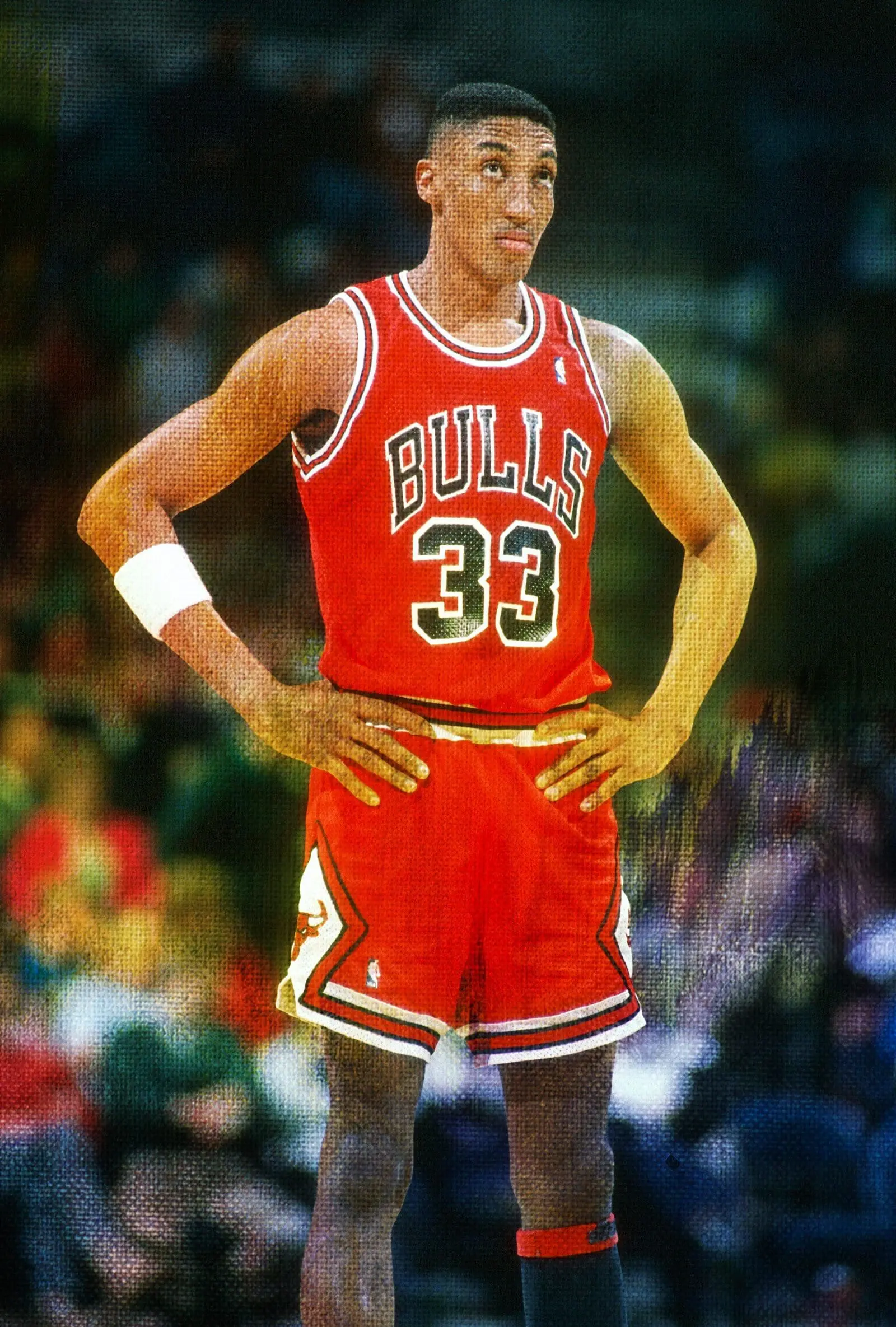 Beyond Jordan: Scottie Pippen'S Basketball Career Stats & Glory Revealed. - fajonkb