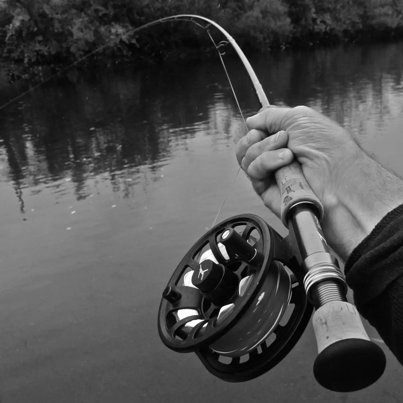 Fishing Poles 64