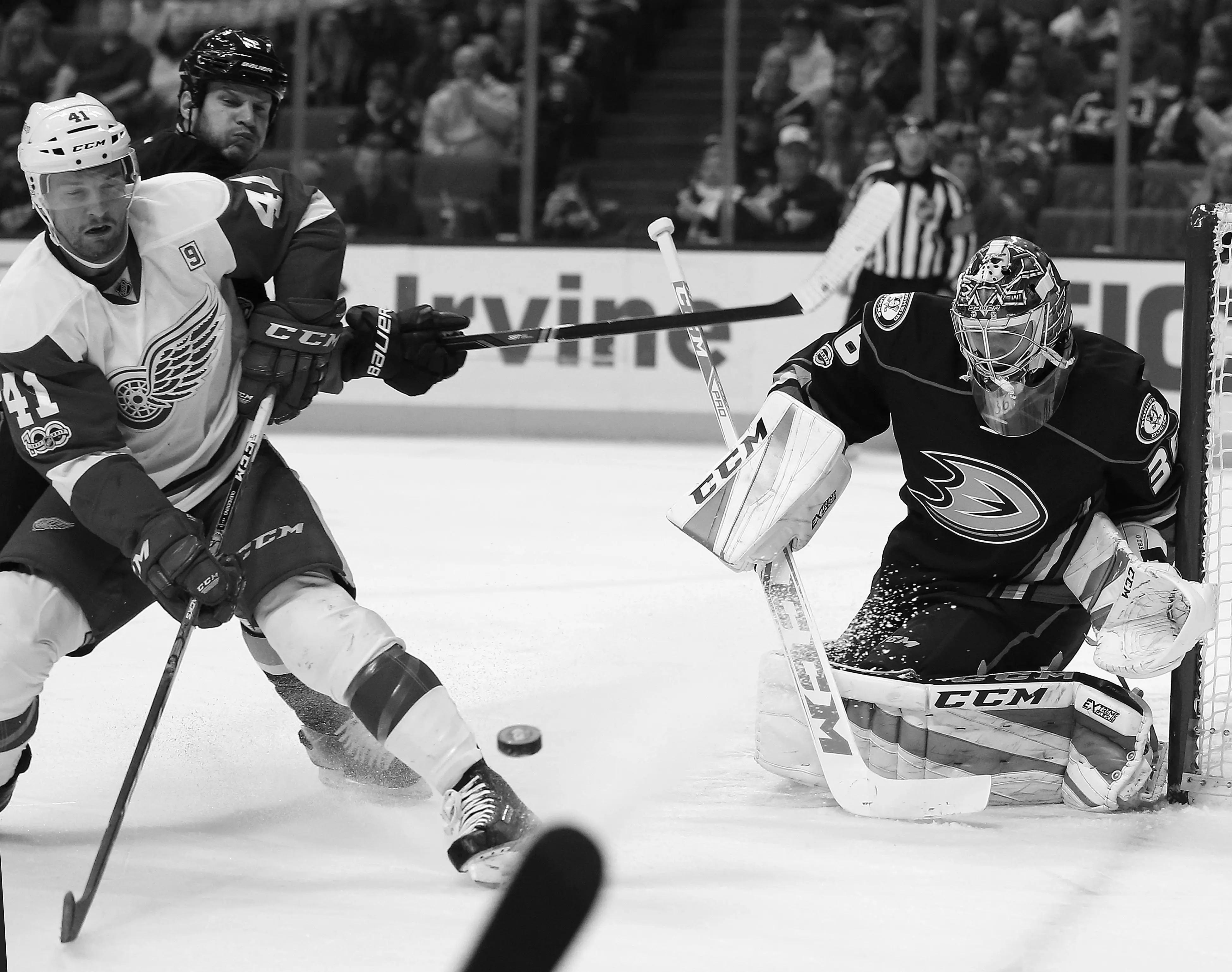 NHL Hockey Player Defending (2)