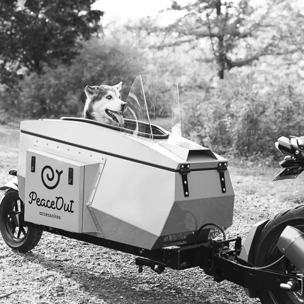 Is There a Law Governing Motorcycle Pet Trailers in Ontario?