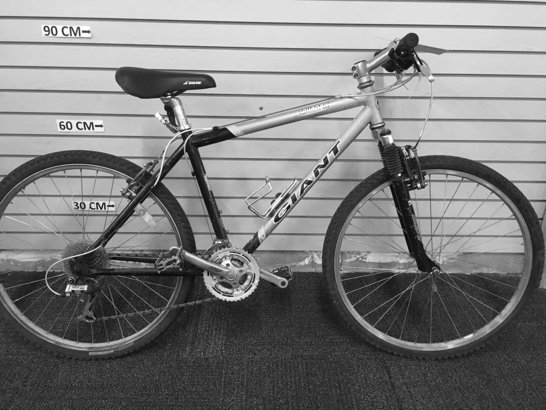 Exploring the Giant Iguana Mountain Bike Features
