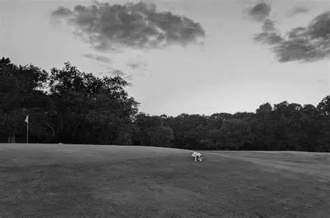 The Amenities of Beverly Golf and Tennis