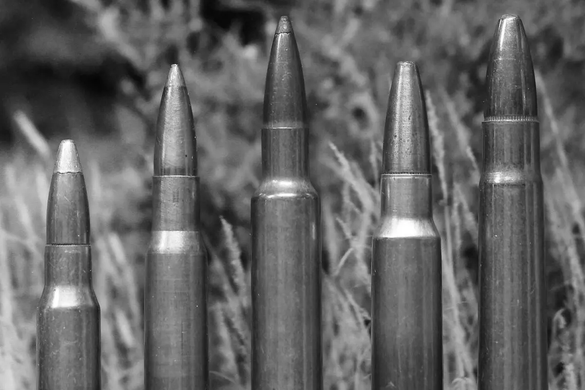 The Best All Around Hunting Calibers
