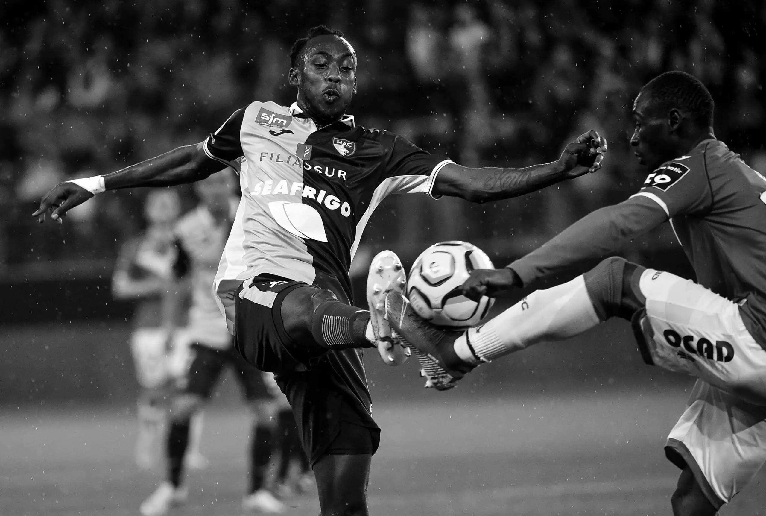 Legendary Le Havre Players You Should Know