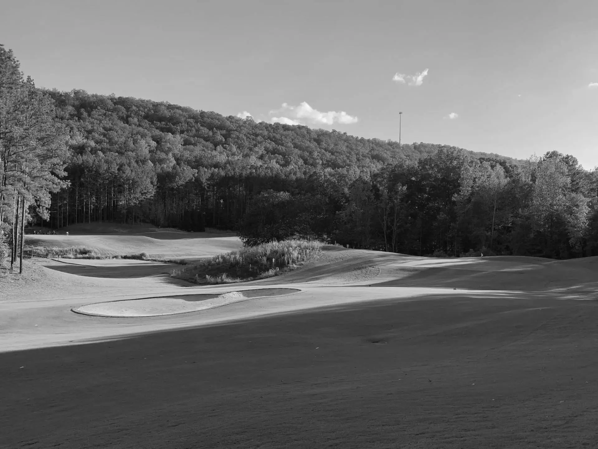 Best Birmingham AL Golf Courses
