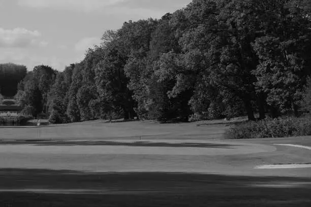 Best Cobb CA Golf Courses