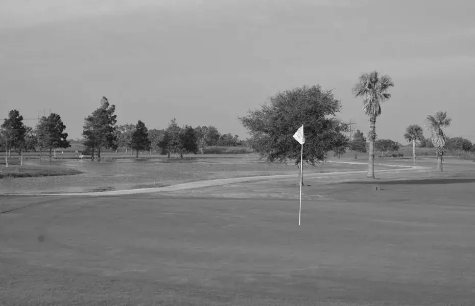 Best Dickinson TX Golf Courses