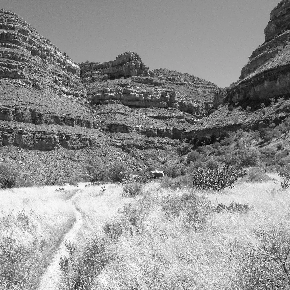 Best Hiking Trails in Alamogordo NM