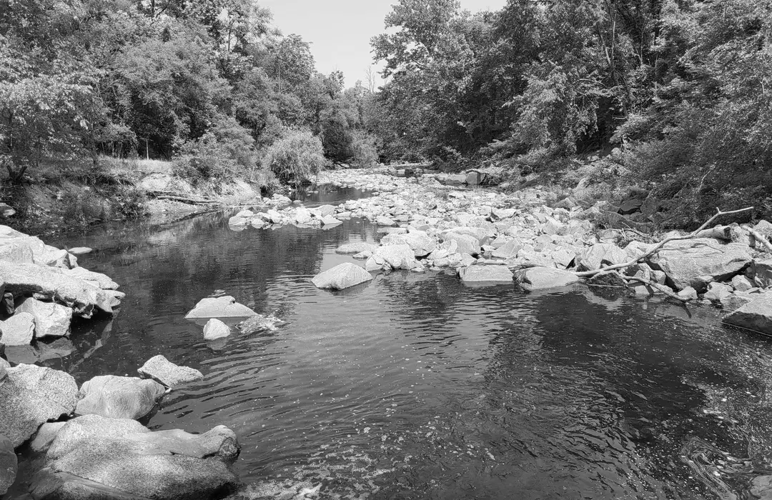 Best Hiking Trails in Alexandria, MD