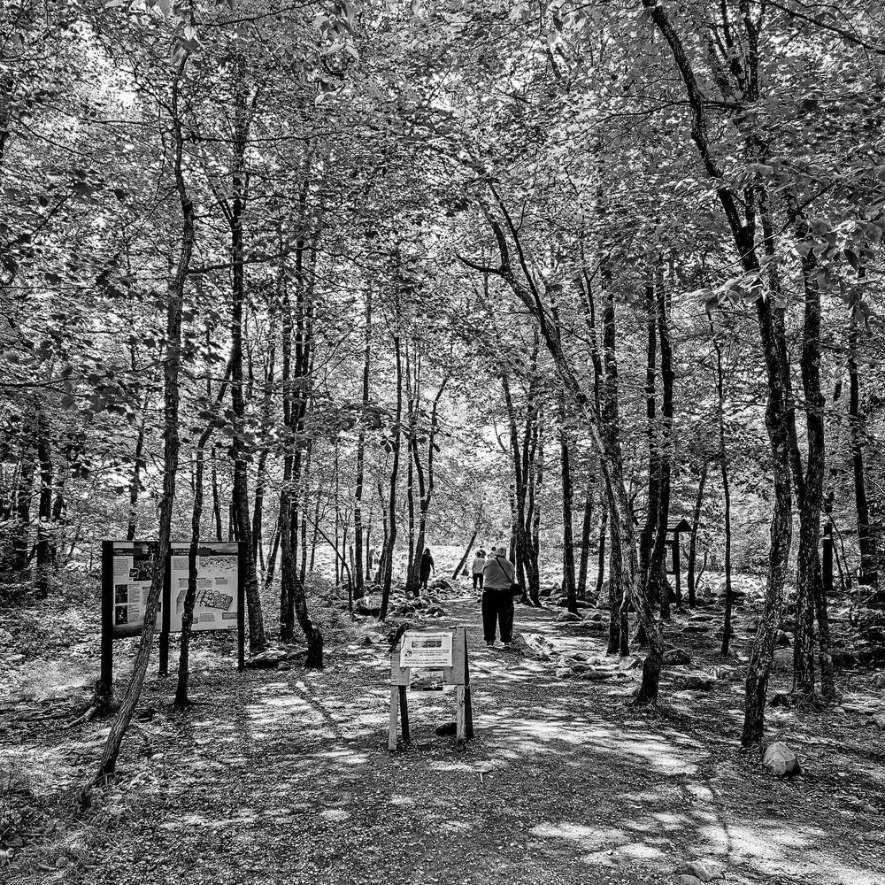 Best Hiking Trails in Allentown PA