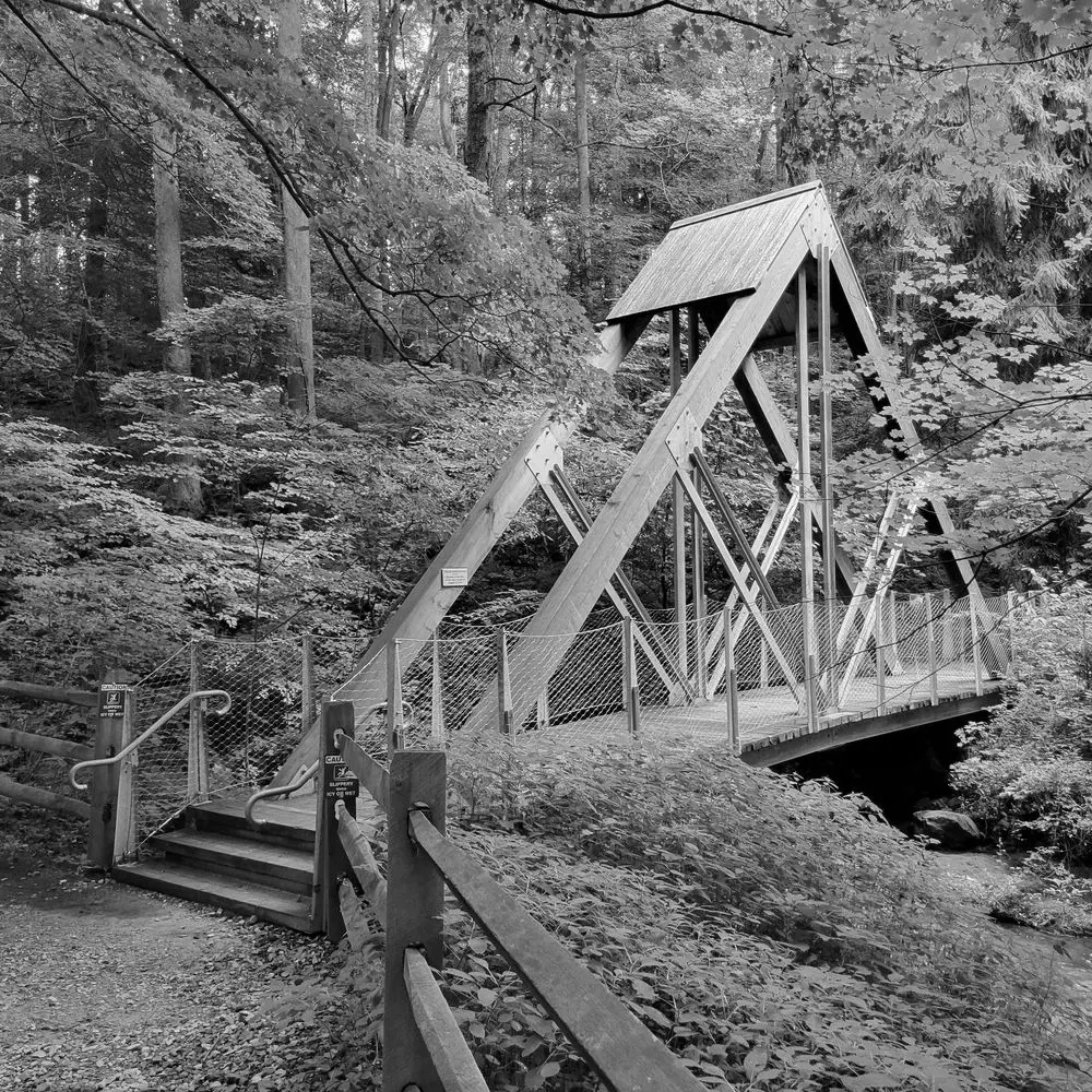Best Hiking Trails in Altoona PA