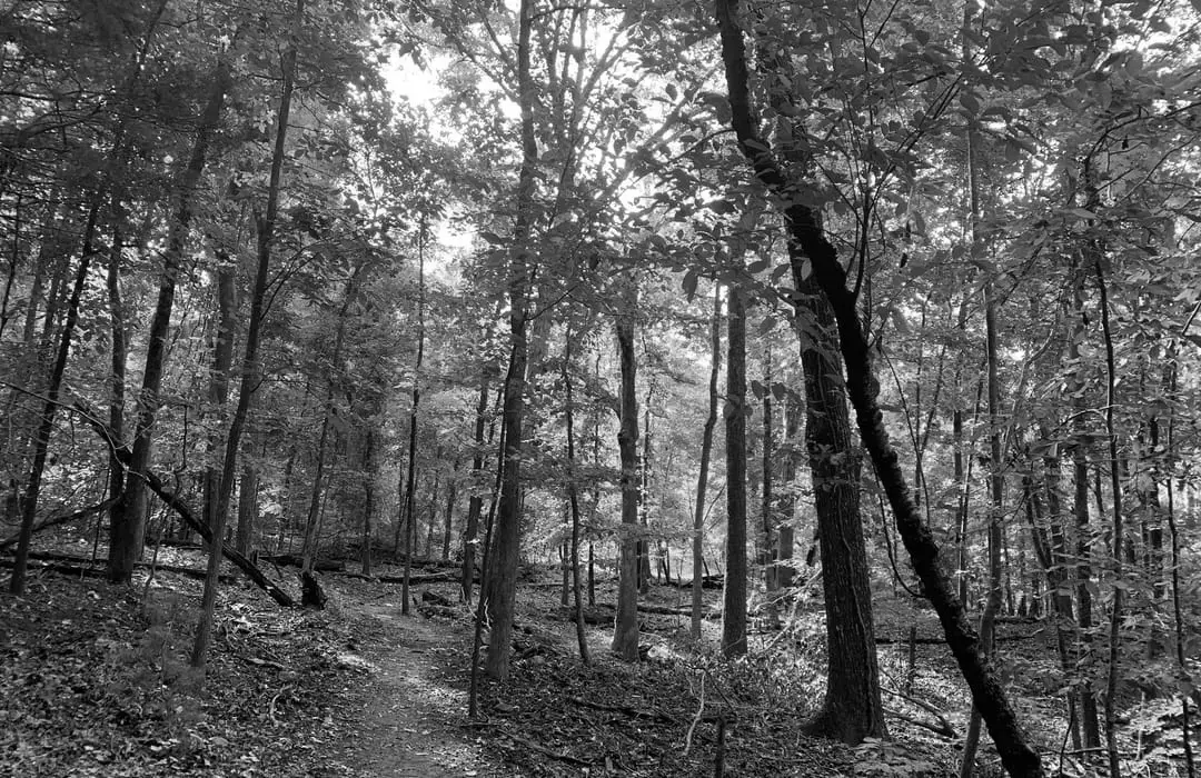 Best Hiking Trails in Anderson IN