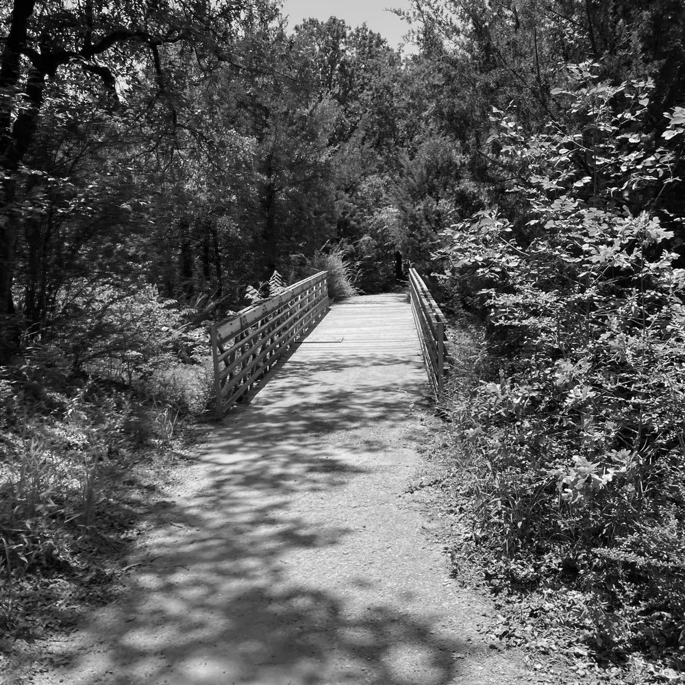 Best Hiking Trails in Arlington TX