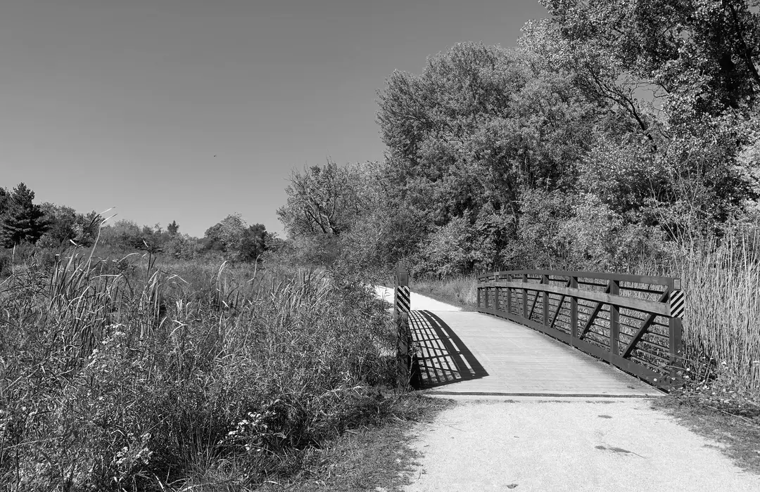 Best Hiking Trails in Aurora IL