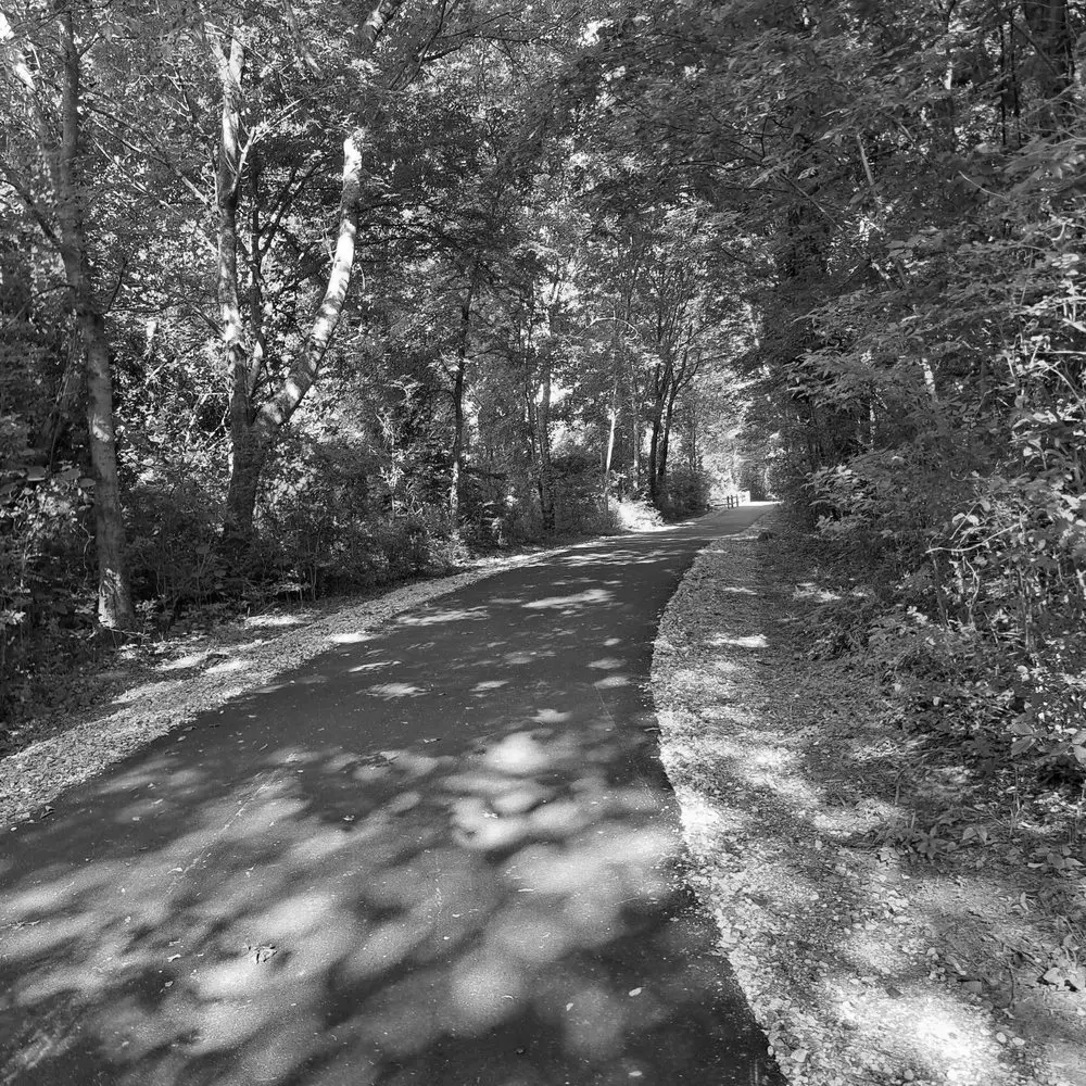 Best Hiking Trails in Bartlett TN