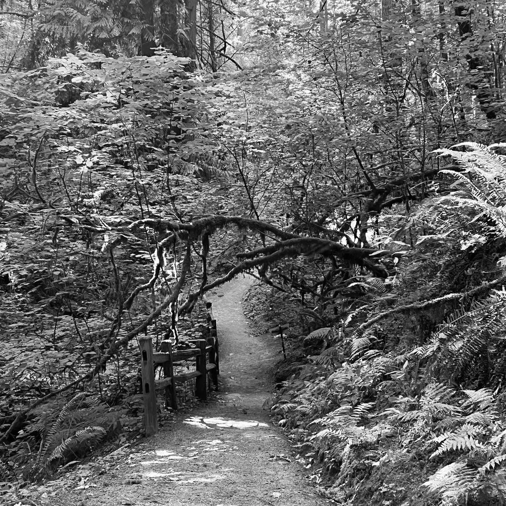Best Hiking Trails in Beaverton OR