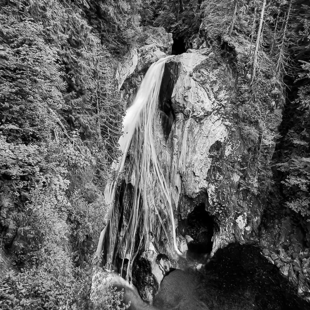 Best Hiking Trails in Bellevue WA
