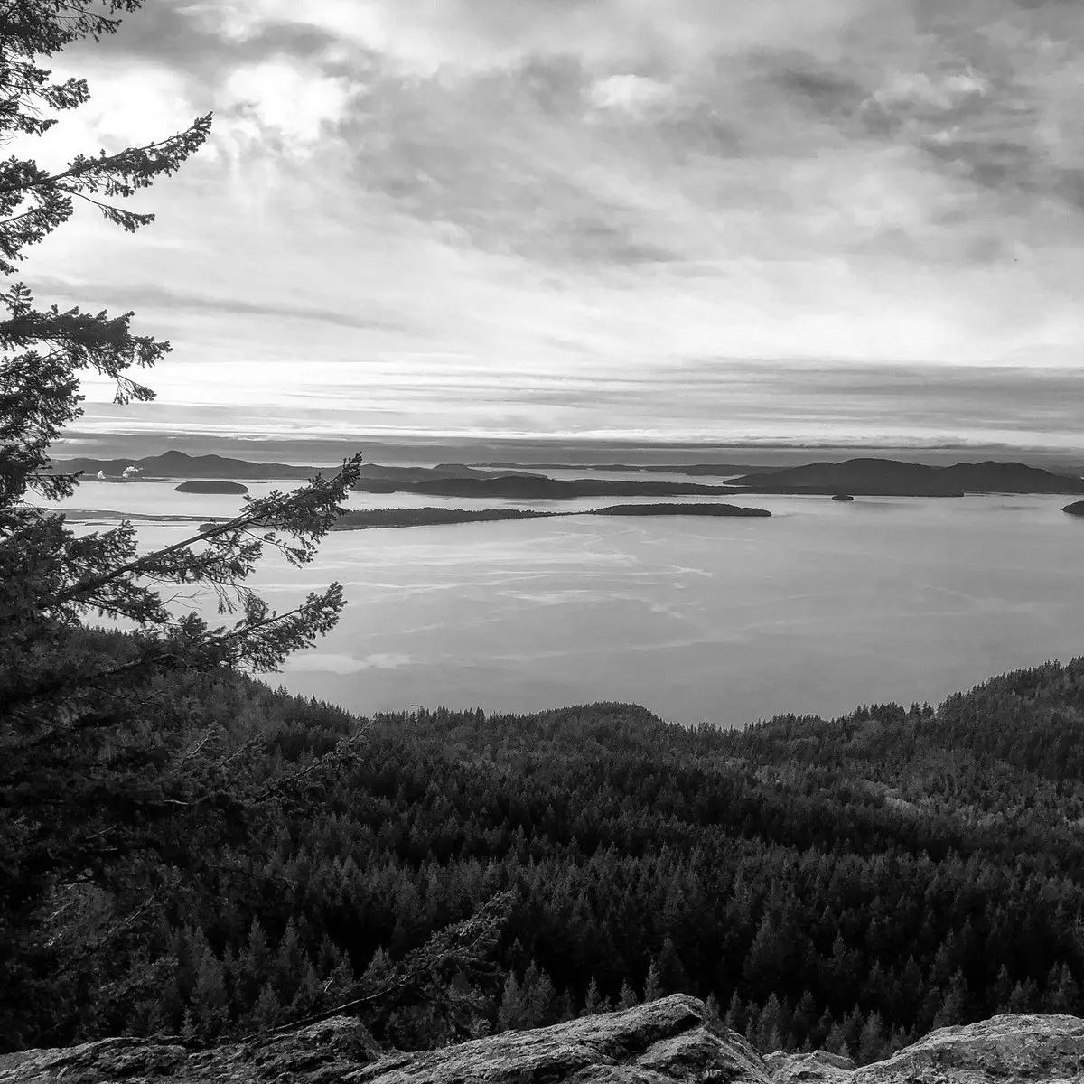 Best Hiking Trails in Bellingham WA