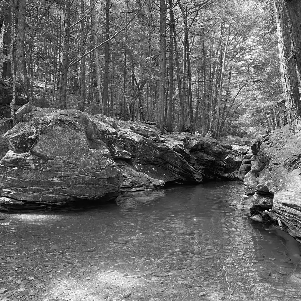 Best Hiking Trails in Bennington NY