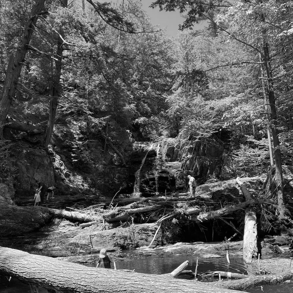Best Hiking Trails in Biddeford ME