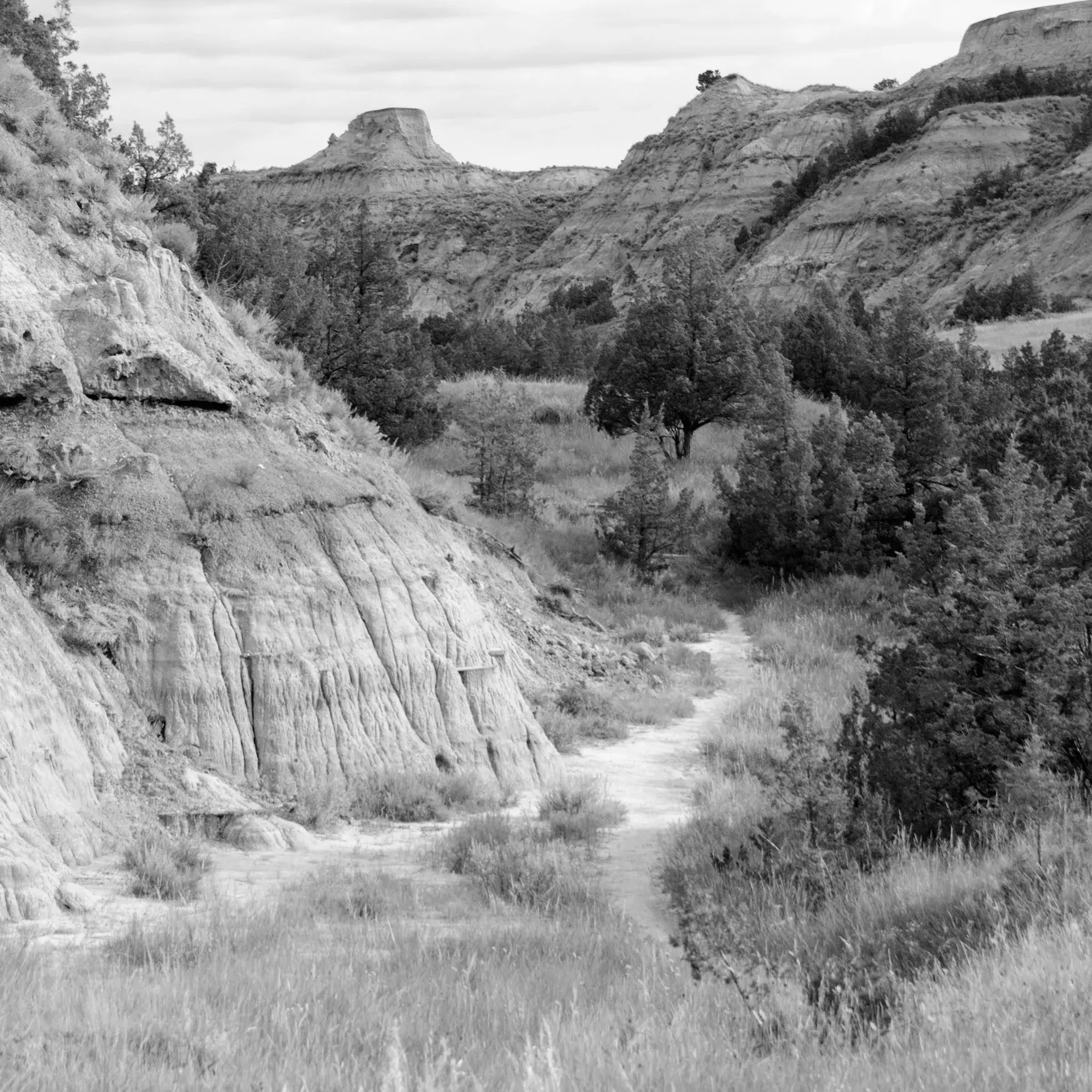 Best Hiking Trails in Bismarck ND