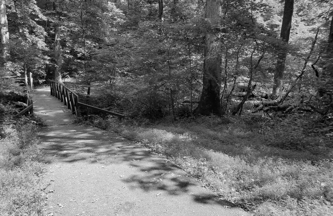 Best Hiking Trails in Bowie MD