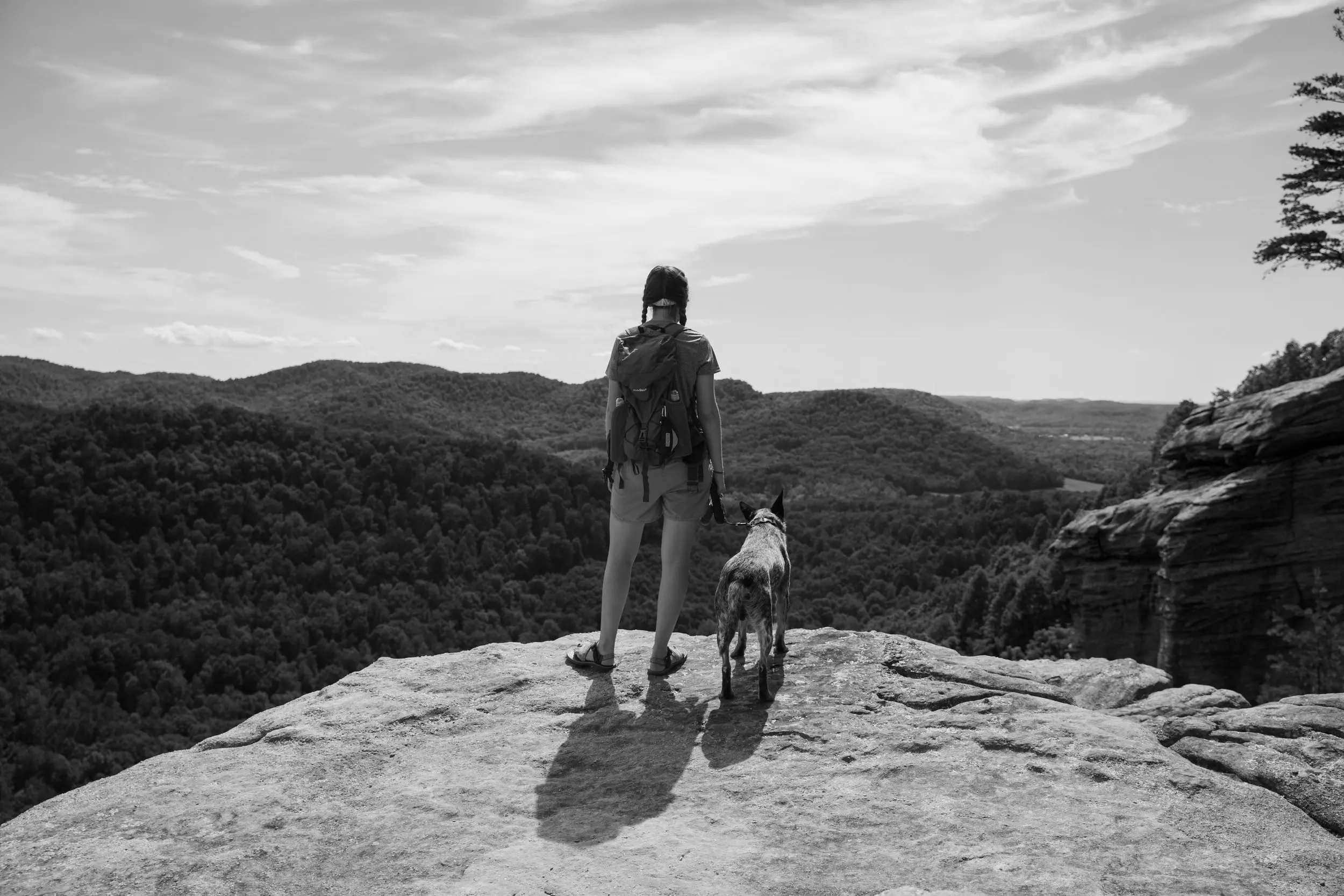 Best Hiking Trails in Bowling Green KY