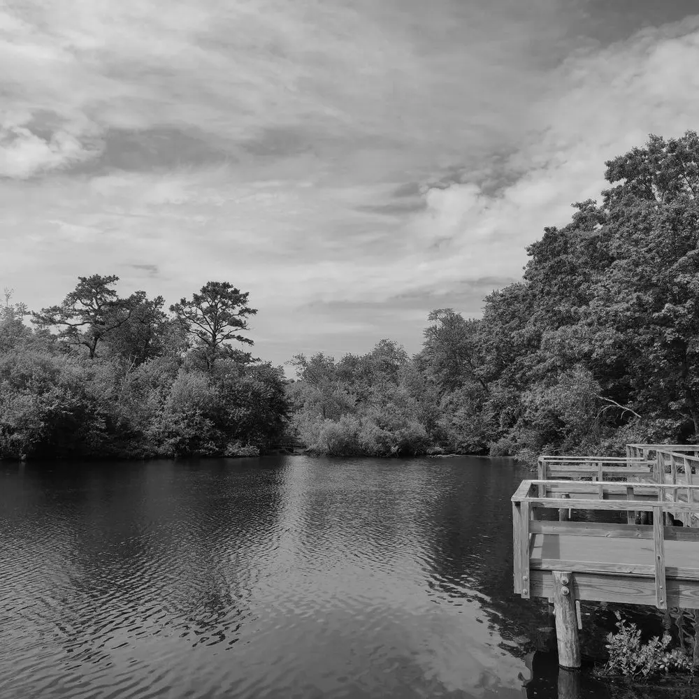 Best Hiking Trails in Brentwood NY