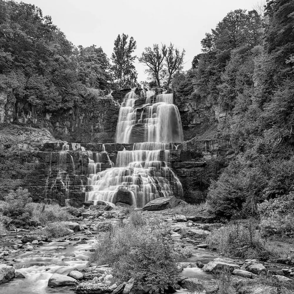 Best Hiking Trails in Bridgeport NY