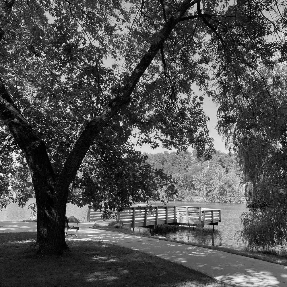 Best Hiking Trails in Canton MI