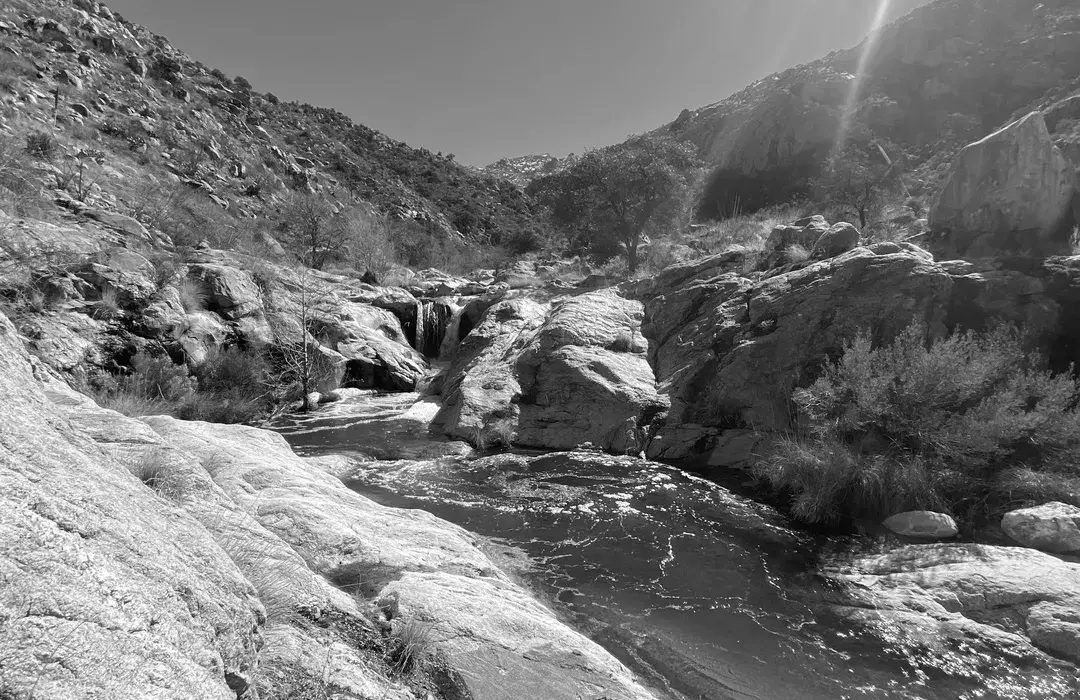 Best Hiking Trails in Catalina Foothills AZ