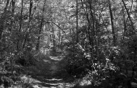 Best Hiking Trails in Cedar Falls IA