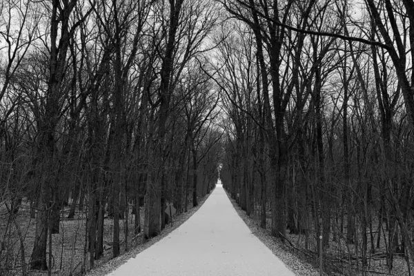 Best Hiking Trails in Champaign IL