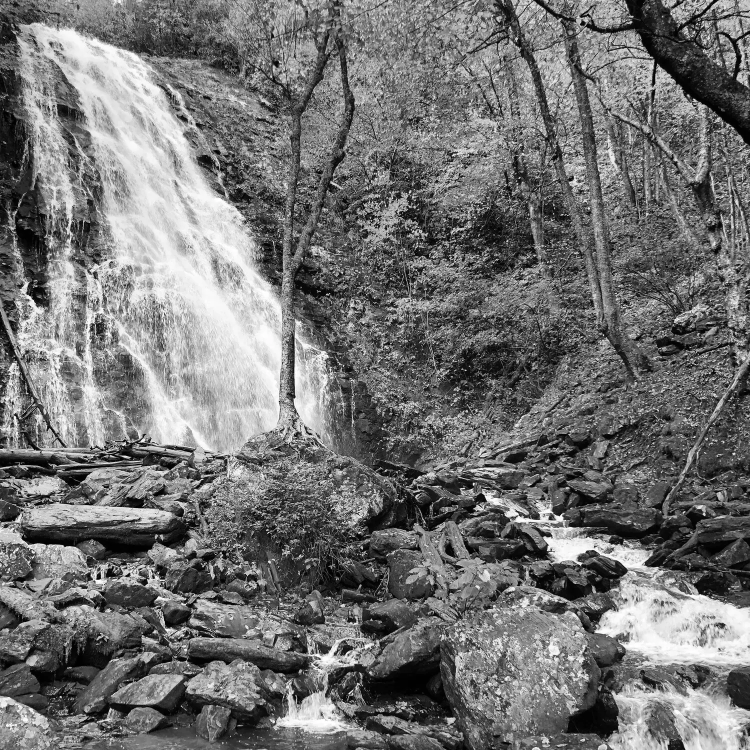 Best Hiking Trails in Charlotte NC
