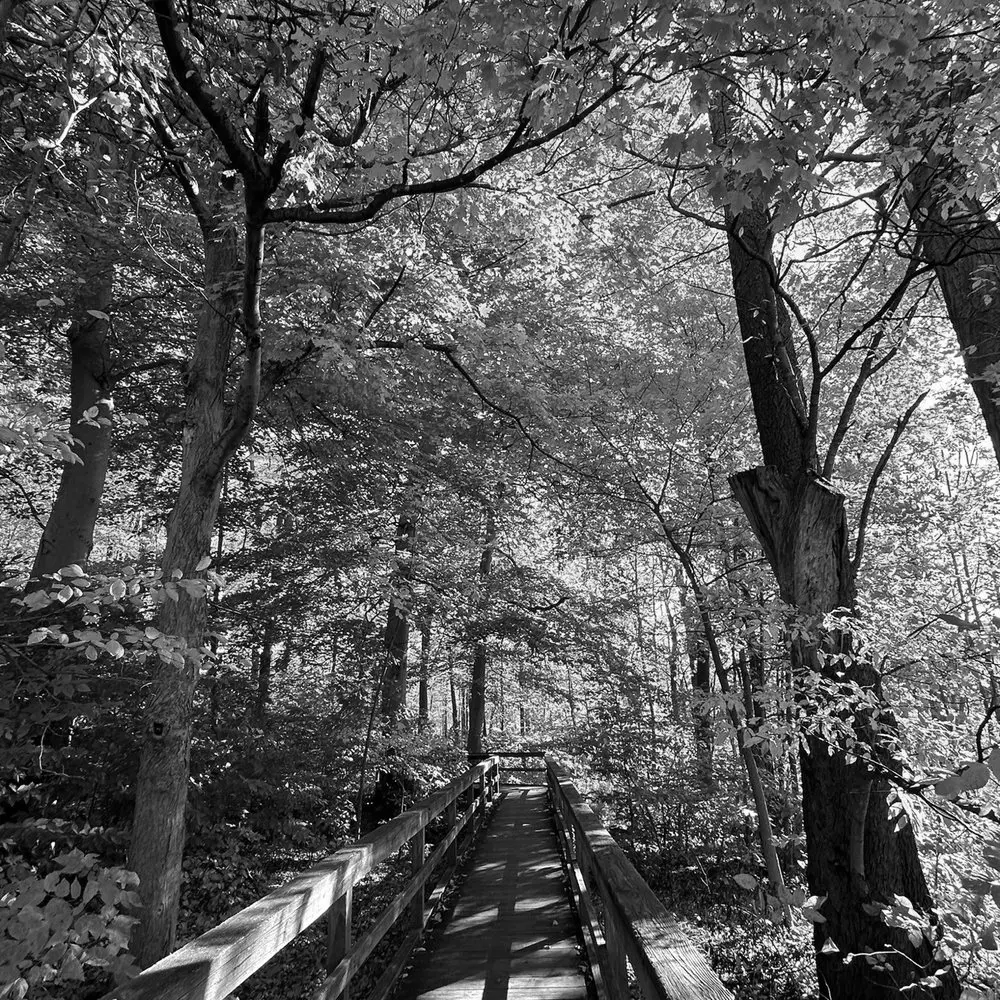 Best Hiking Trails in Cheektowaga NY