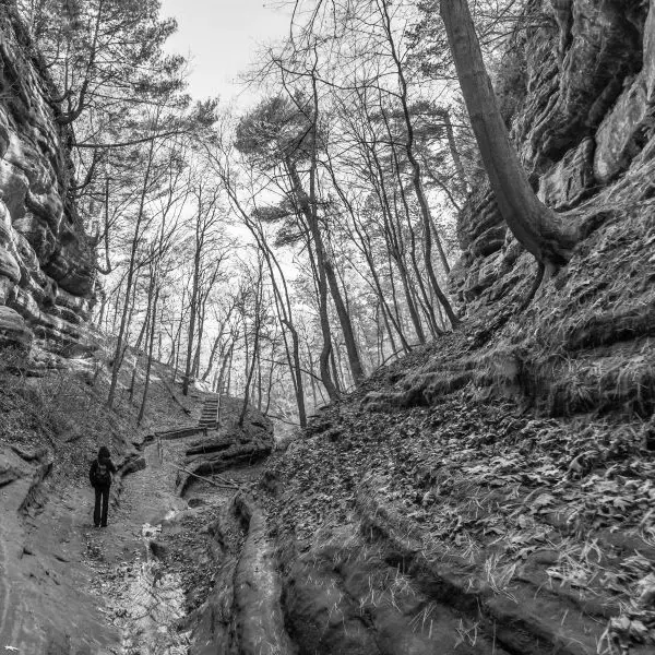 Best Hiking Trails in Chicago IL