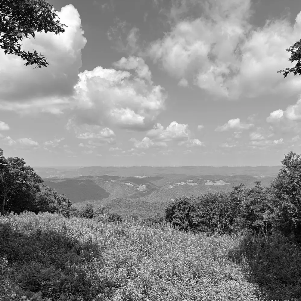 Best Hiking Trails in Clarksburg WV