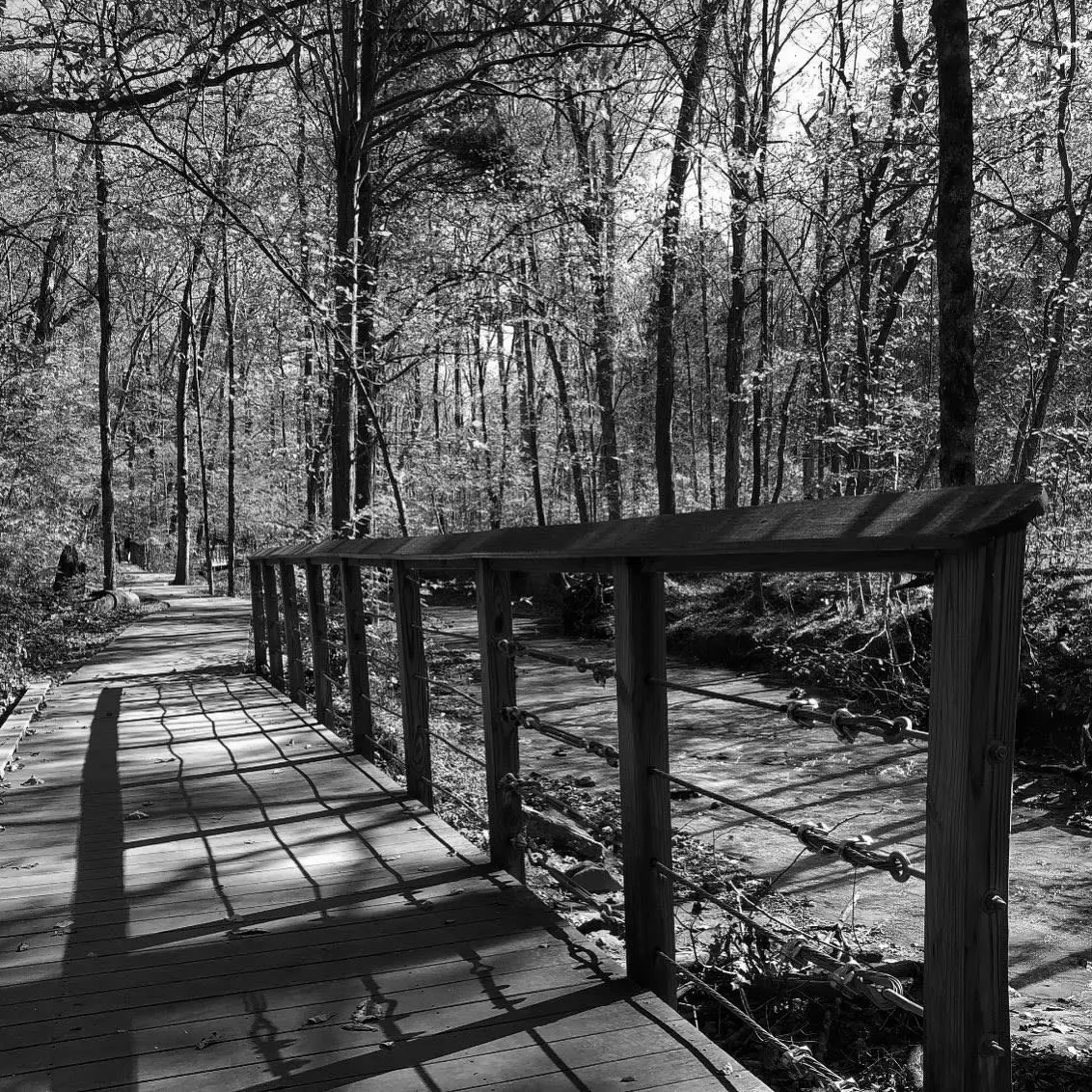 Best Hiking Trails in Clarksville TN