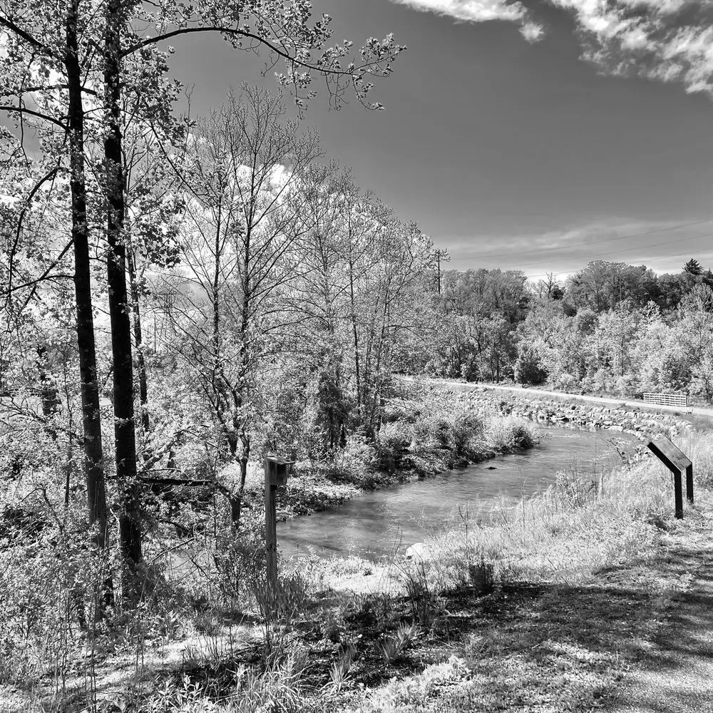 Best Hiking Trails in Claymont PA