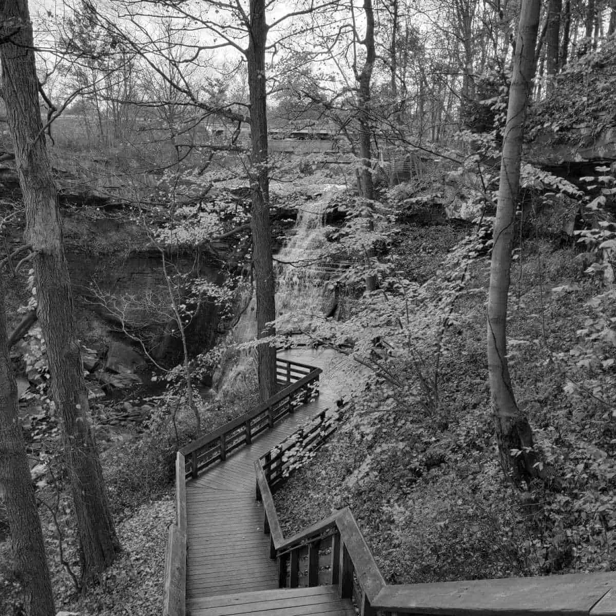 Best Hiking Trails in Cleveland OH