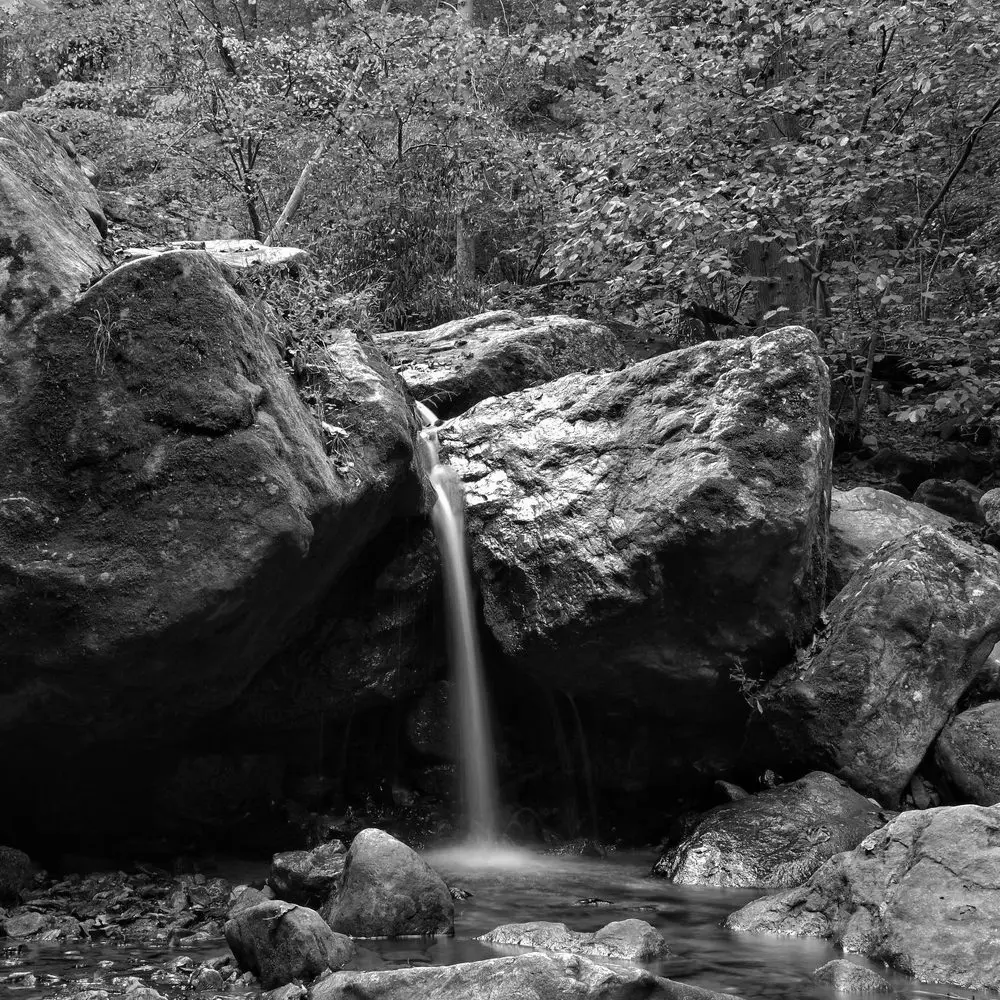 Best Hiking Trails in Columbia MD