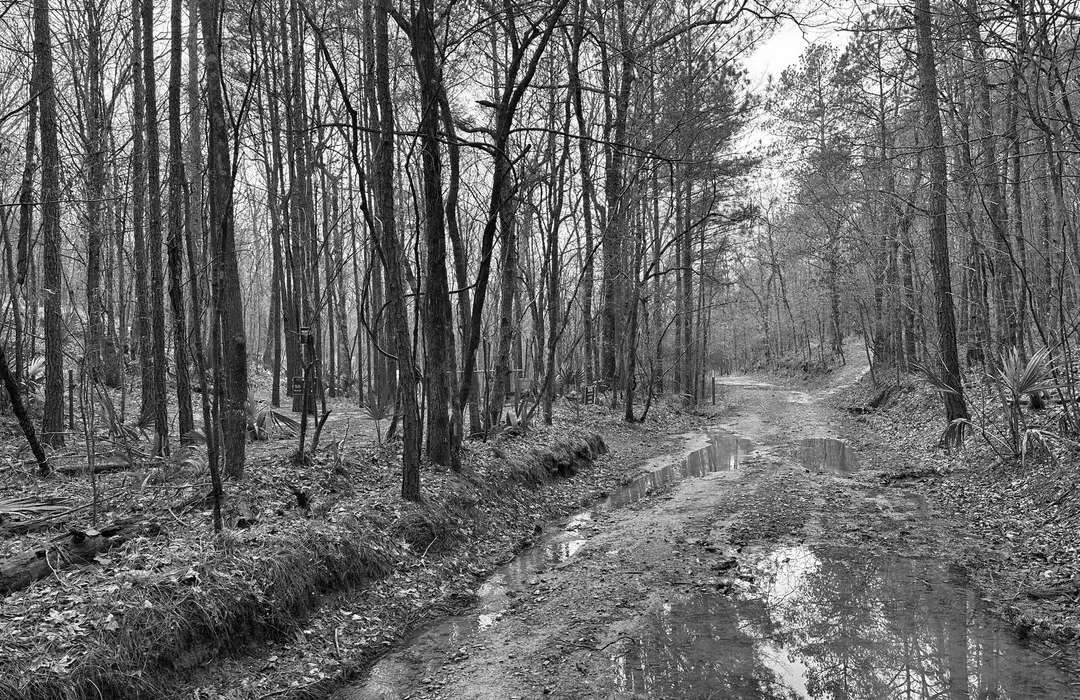 Best Hiking Trails in Columbus GA