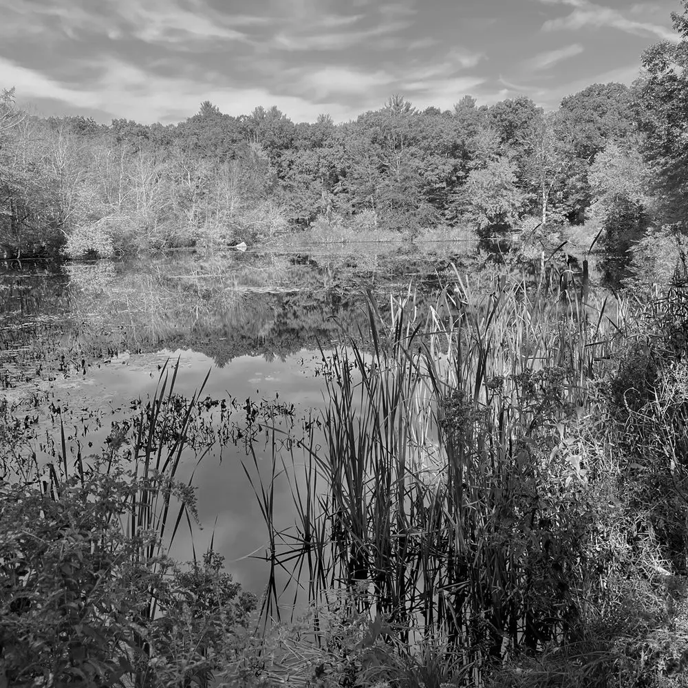 Best Hiking Trails in Coventry MA