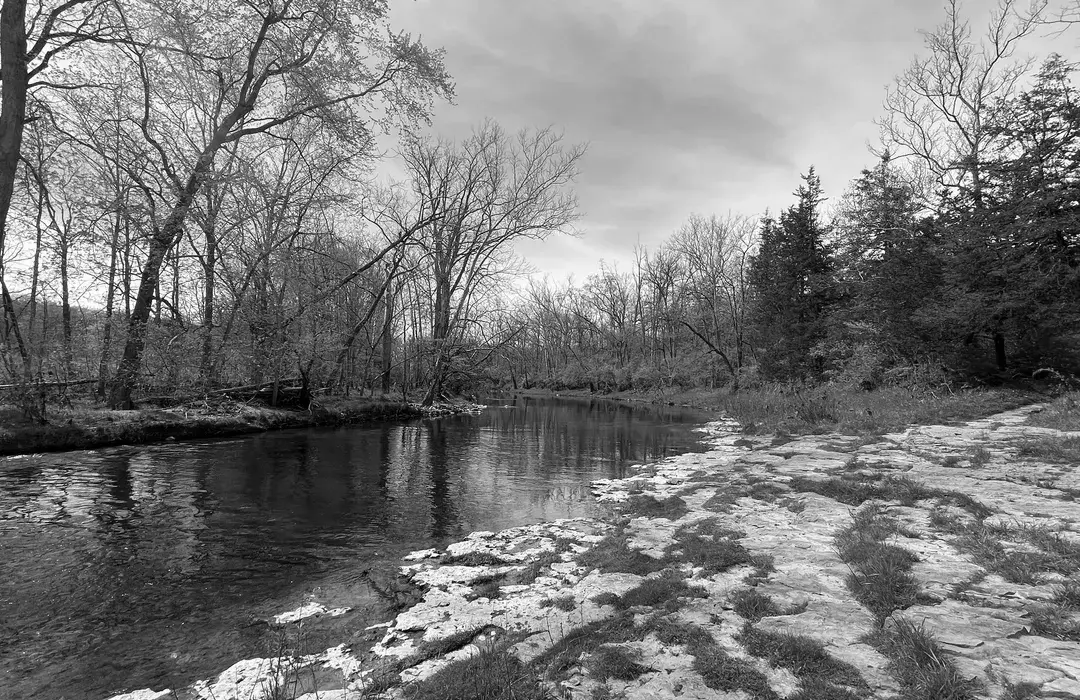 Best Hiking Trails in Covington OH