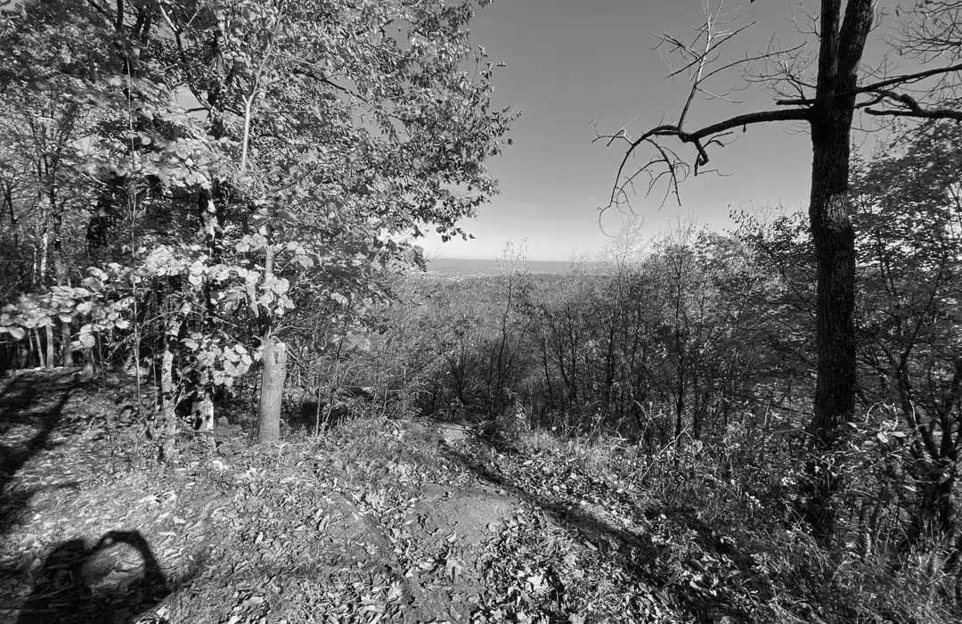 Best Hiking Trails in Danbury CT