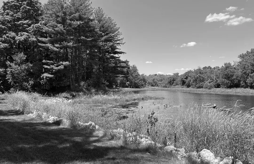 Best Hiking Trails in Davenport IA