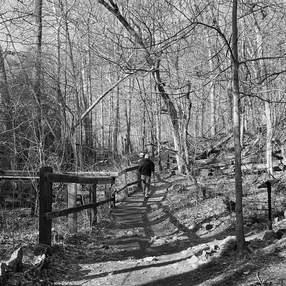 Best Hiking Trails in Dayton OH