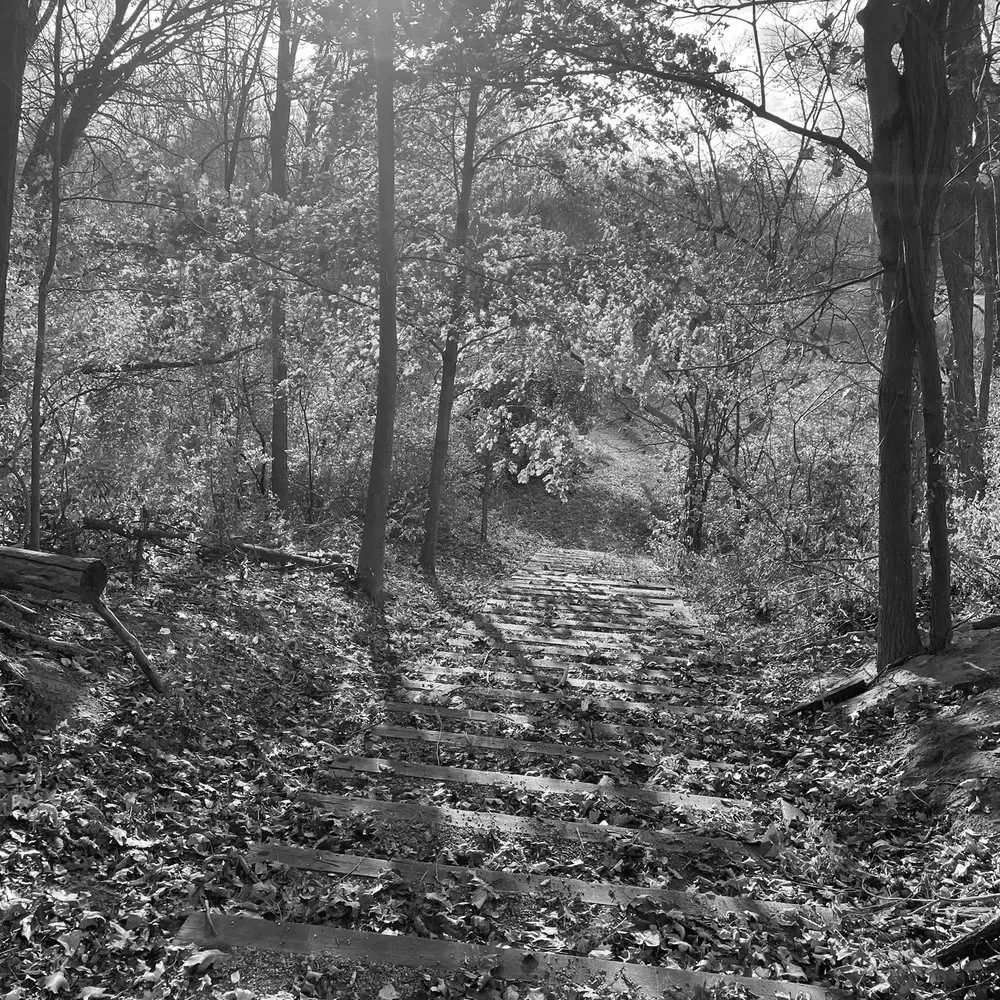 Best Hiking Trails in Dearborn MI