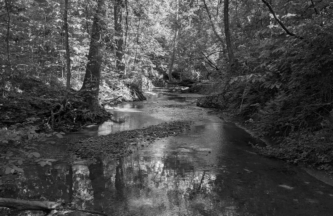 Best Hiking Trails in Decatur IL