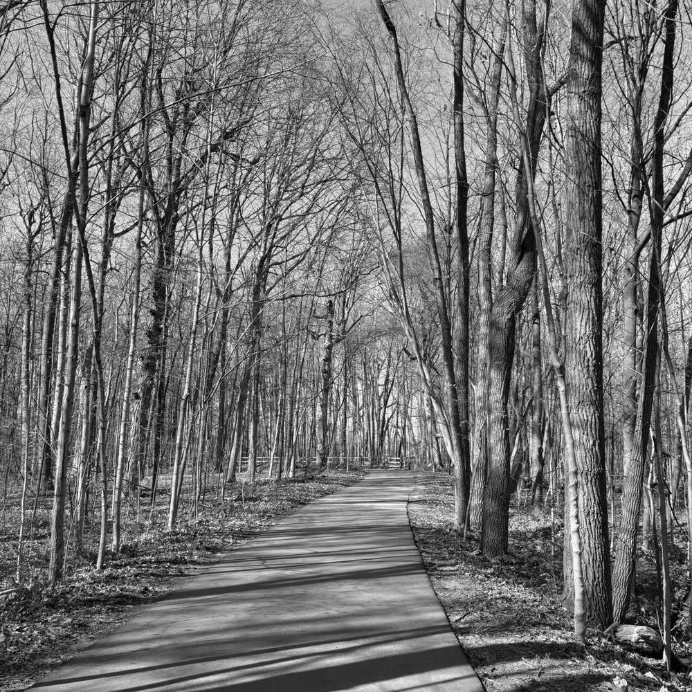 Best Hiking Trails in Detroit MI